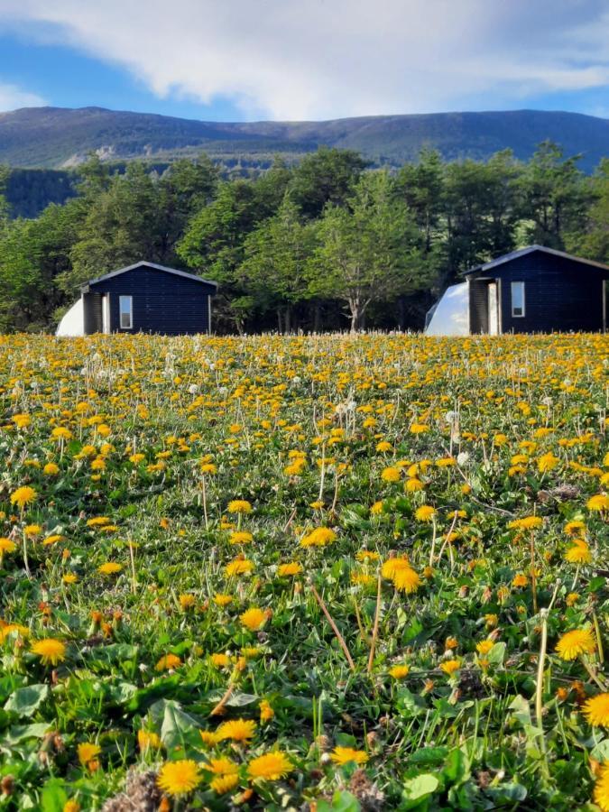 ホテルGlamping Patagonia Nativa Rural コイハイケ エクステリア 写真