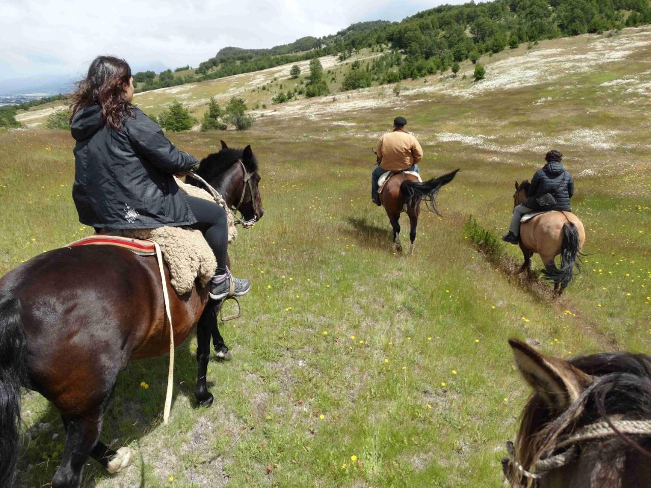 ホテルGlamping Patagonia Nativa Rural コイハイケ エクステリア 写真
