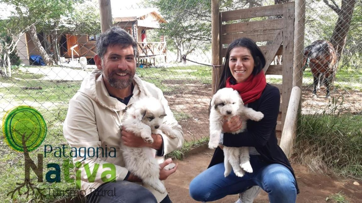 ホテルGlamping Patagonia Nativa Rural コイハイケ エクステリア 写真